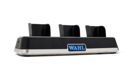 WAHL POWER STATION